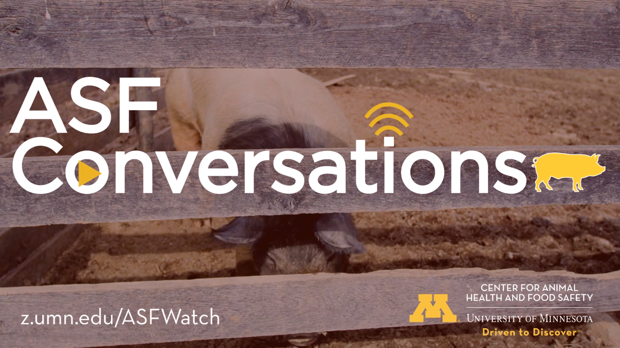 ASF Conversations logo with background image of a pig