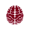 icon of a brain