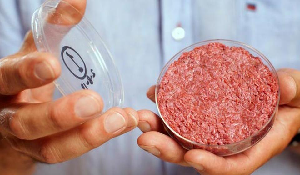 A man holds the world's first lab-grown beef burger in 2013: meat in a petri dish