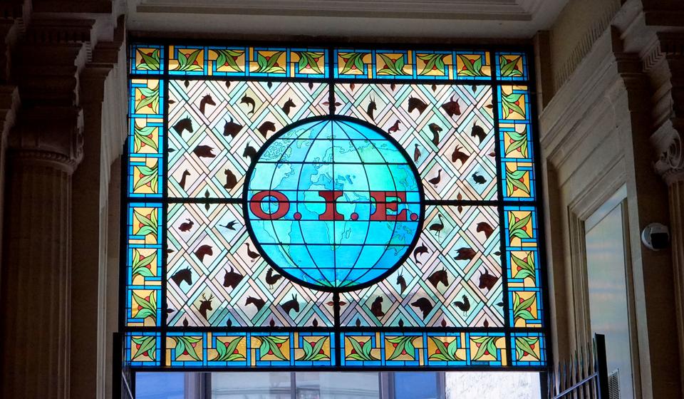 Stained glass window at the OIE headquarters with a globe and animals