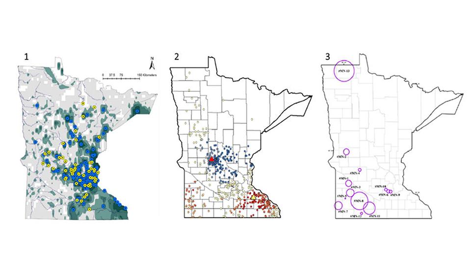 Risk maps and risk regionalization on a map of Minnesota
