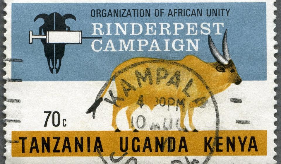 Postage stamp from the Rinderpest elimination campaign